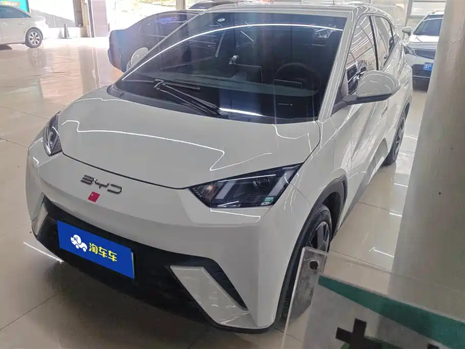 BYD Seagull 2024 Glory Edition 305km Vitality Edition