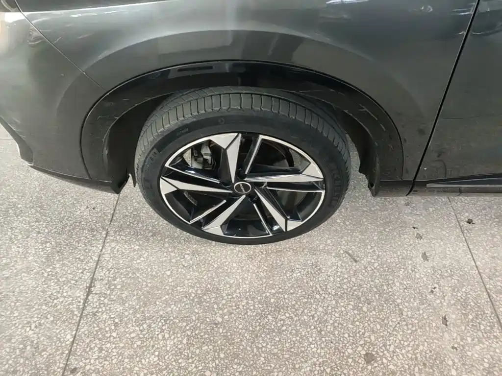 Фото 23 - Roewe RX5 MAX