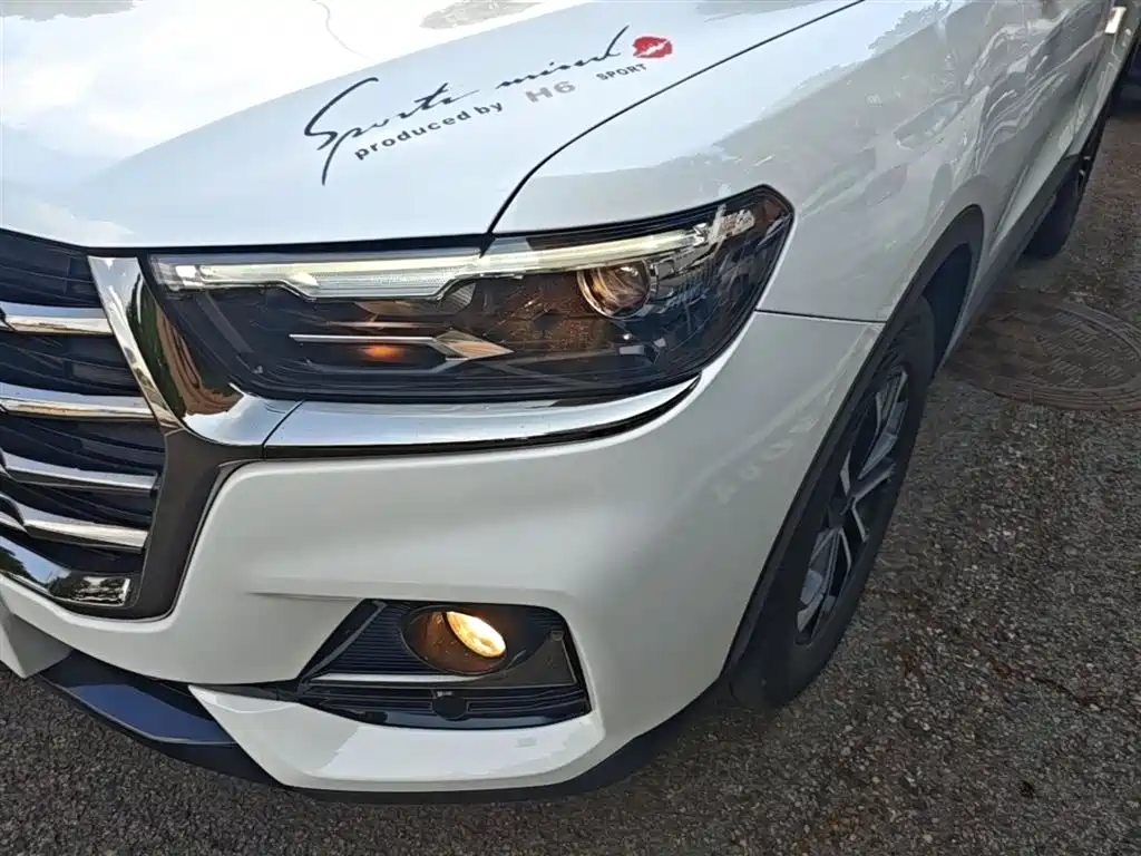 Haval H6 2021 National Trend Edition 1.5T Automatic Urban Edition фото 24