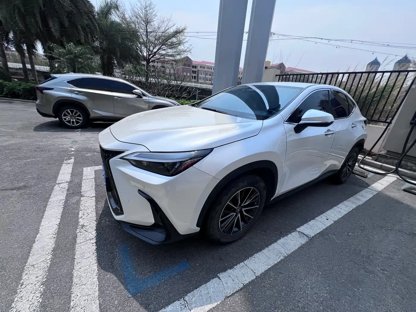 LEXUS NX