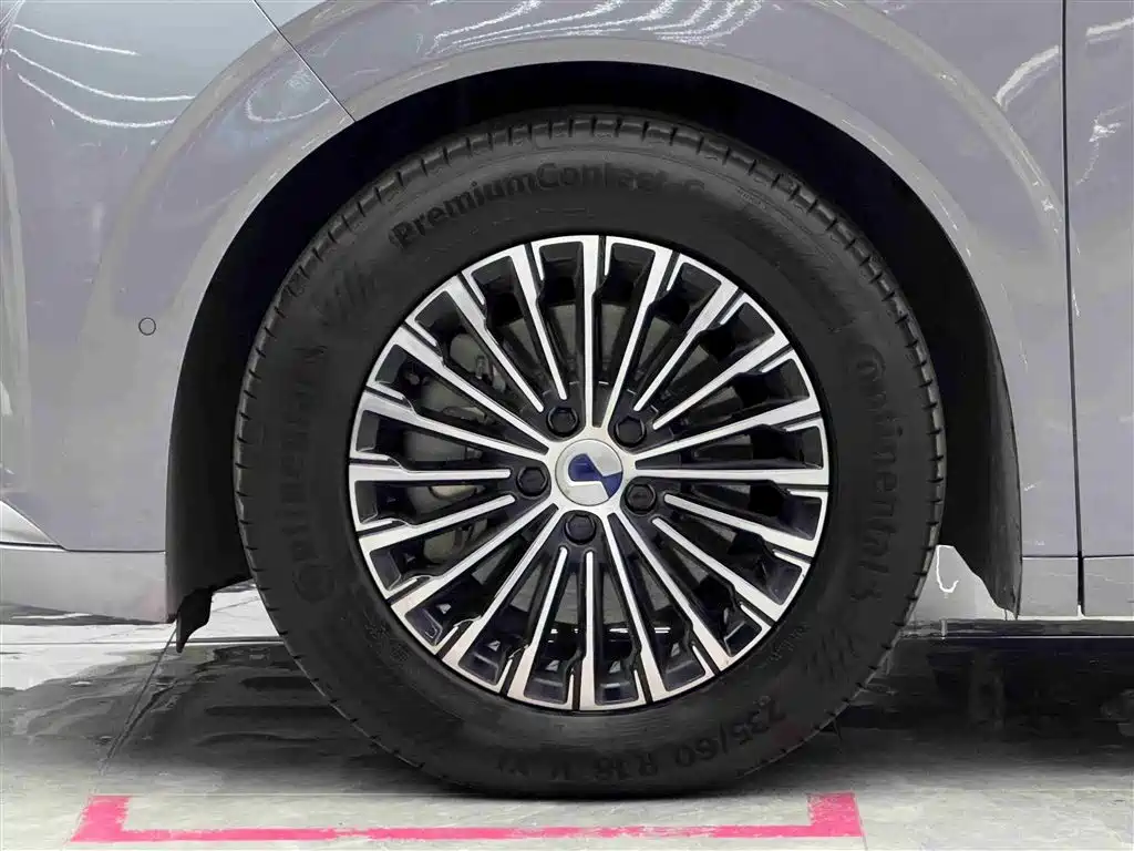 Denza D9 2022 DM-i 970 AWD Flagship фото 4
