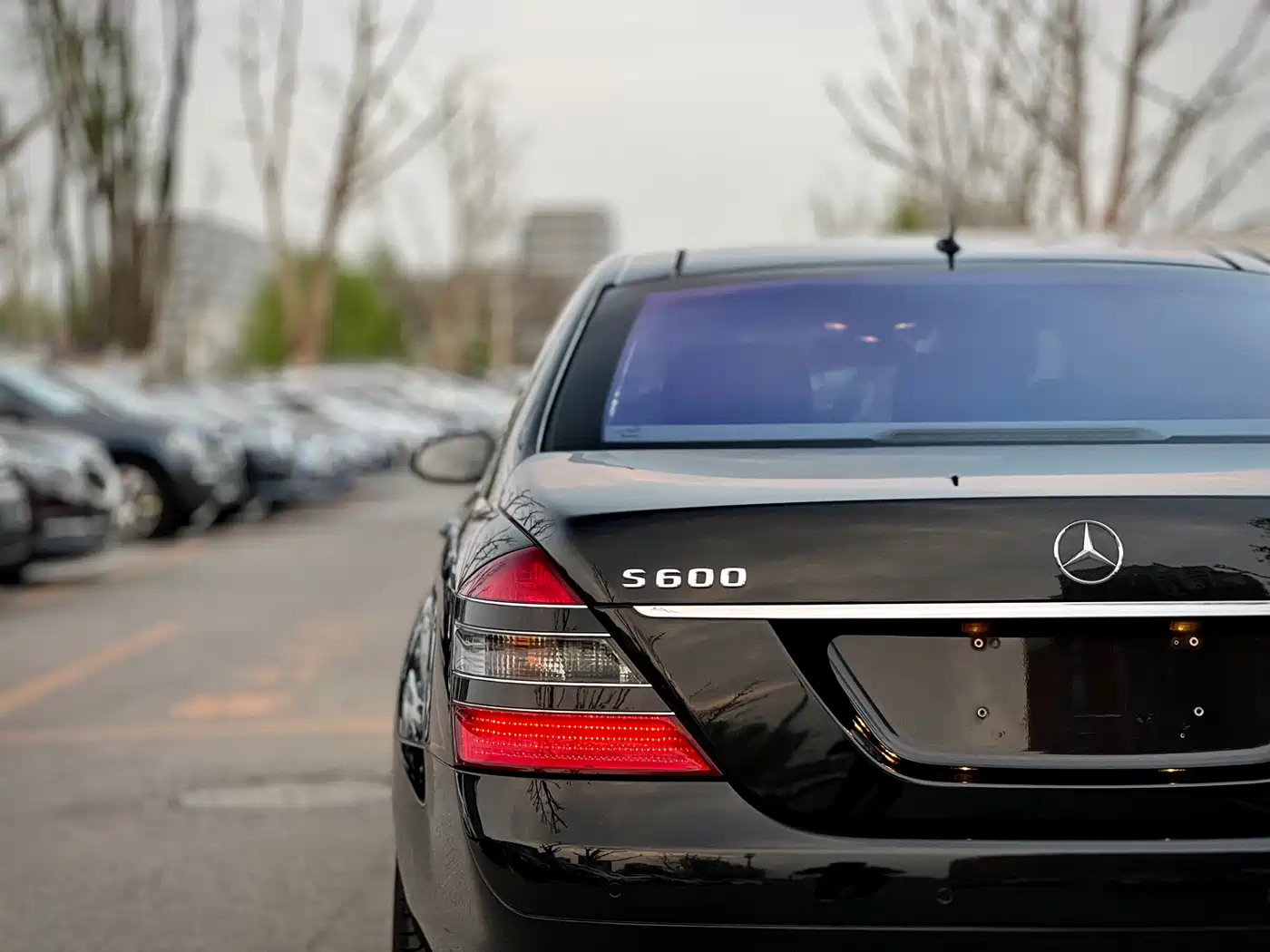 Mercedes-Benz S-Class 2008 Model S 600 L фото 42