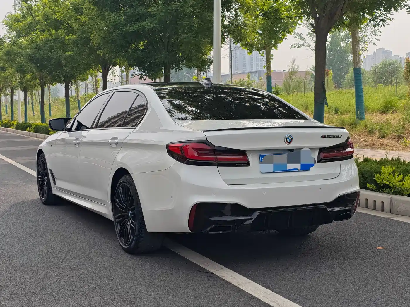 BMW 5 Series 2019 530Li Leading M Sport Package фото 29
