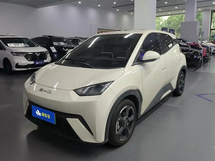BYD Seagull 2023 Freedom Edition