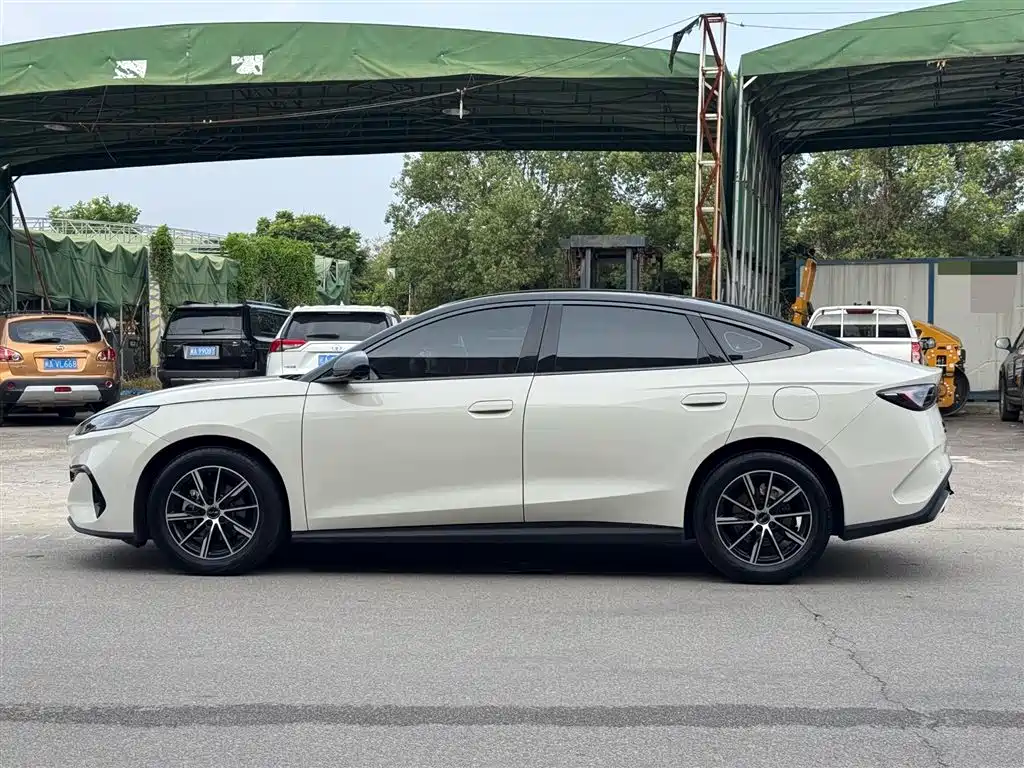 BYD Seal 06 New Energy 2024 DM-i 80KM Prestige фото 7