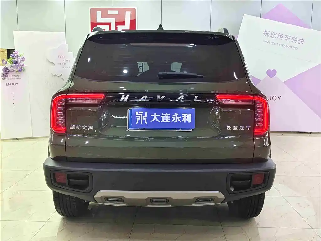 Haval Big Dog 2022 1.5T DCT FWD Malinois Edition фото 5