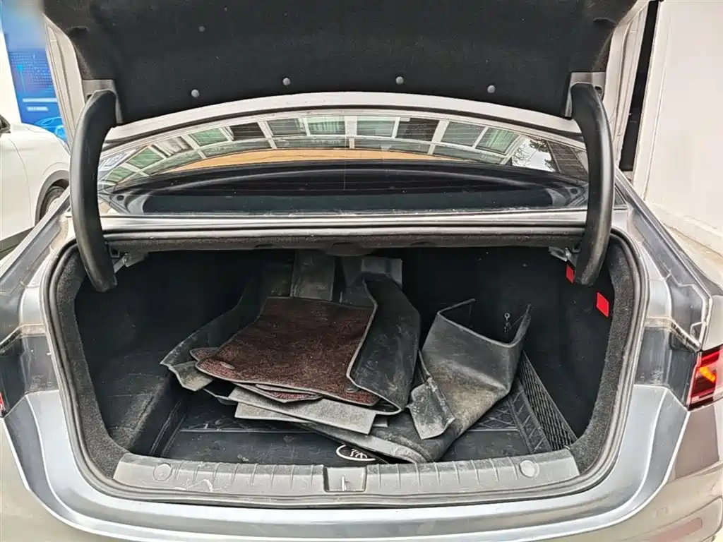 BYD Qin PLUS 2021 DM-i 55KM Flagship фото 19