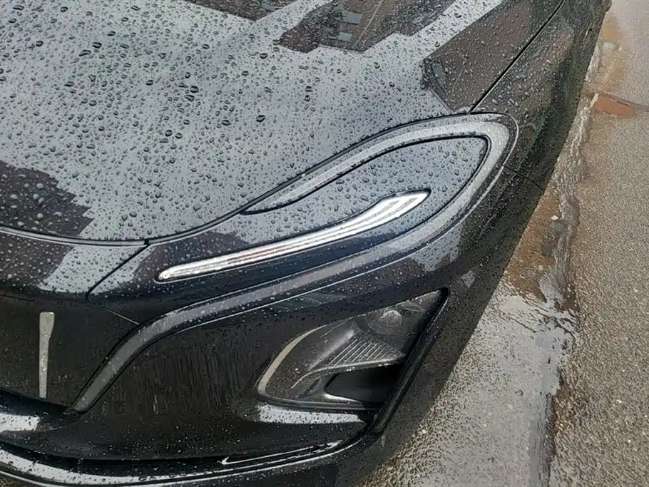 Hongqi E-QM5 2023 620km PLUS фото 5