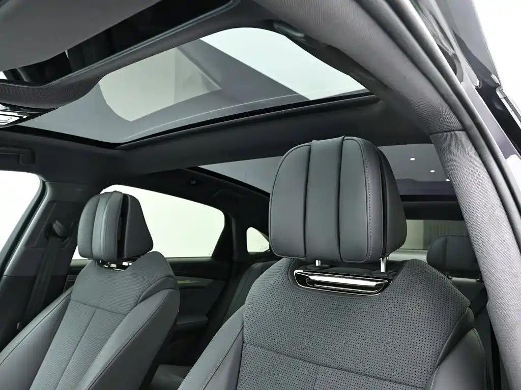 Voyah Passion 2024 2024 PHEV AWD Ultra Long Range Flagship