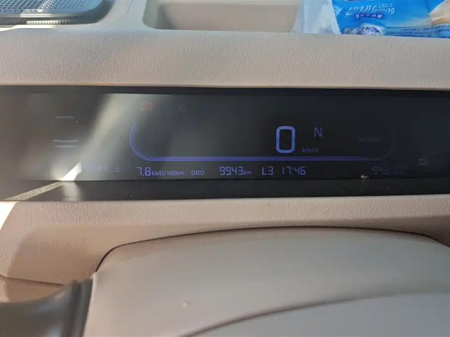 Geely Galaxy Panda 2023 Panda Mini 200km Endurance Bear фото 14