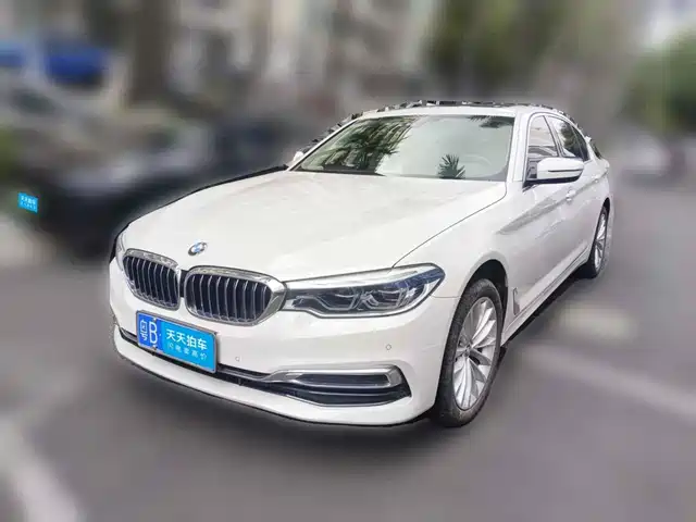  BMW BMW 5 Series 2020 530Li Leading Luxury Package