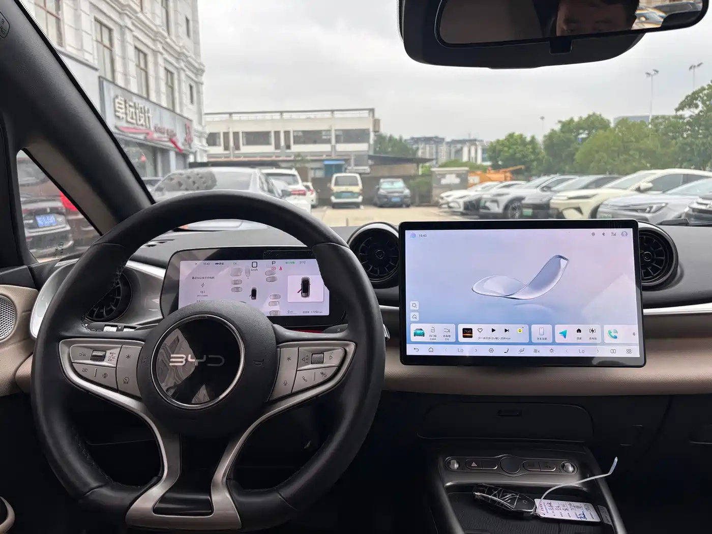 BYD Dolphin 2025 2025 Smart Drive Edition 410km Fashion Version