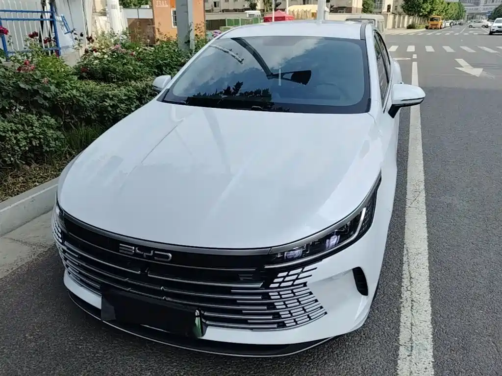 BYD Destroyer 05 2024 Glory Edition DM-i 55KM Luxury фото 3