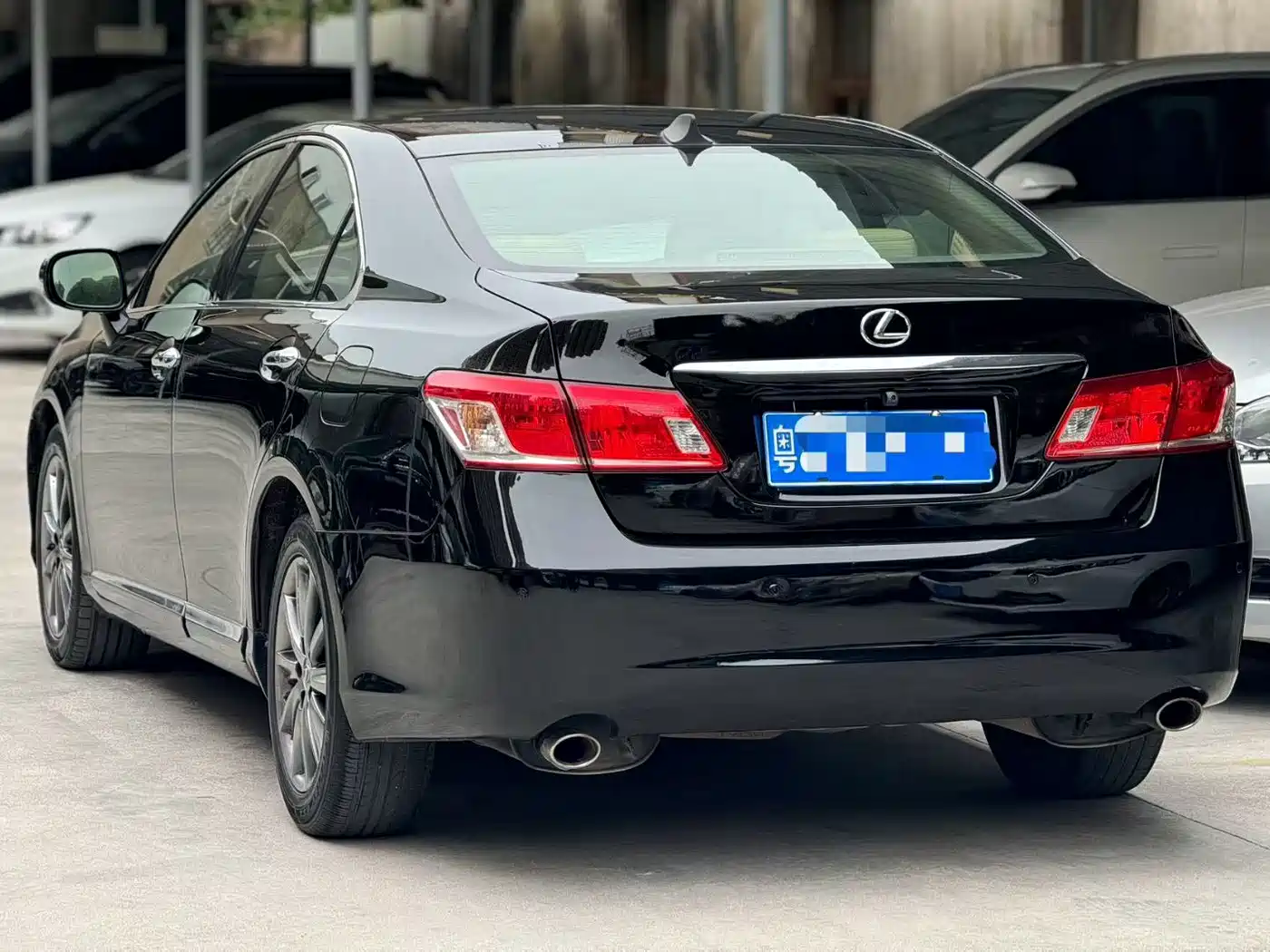 Lexus ES 2010 350 Premium Edition фото 8