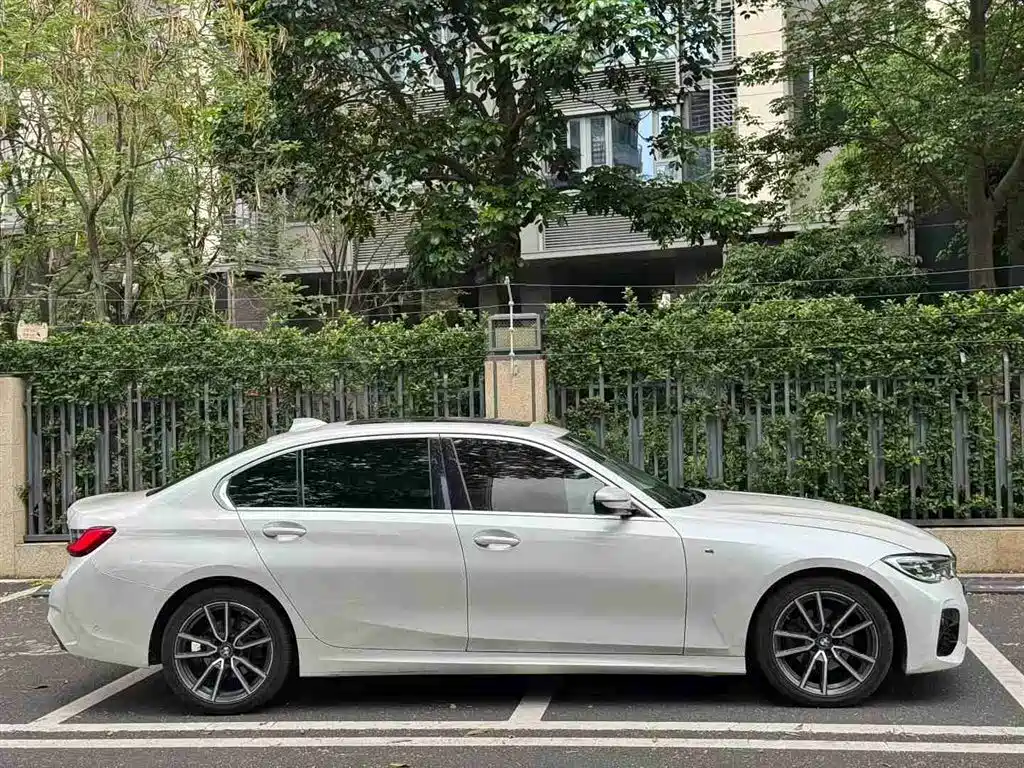 BMW 3 Series 2020 320Li M Sport Package фото 4