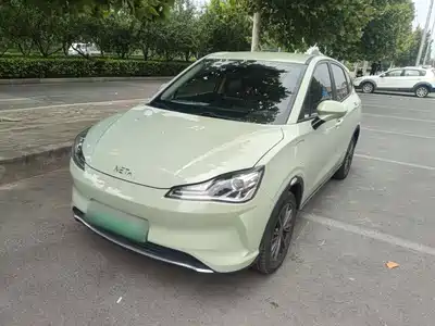 Neta V
