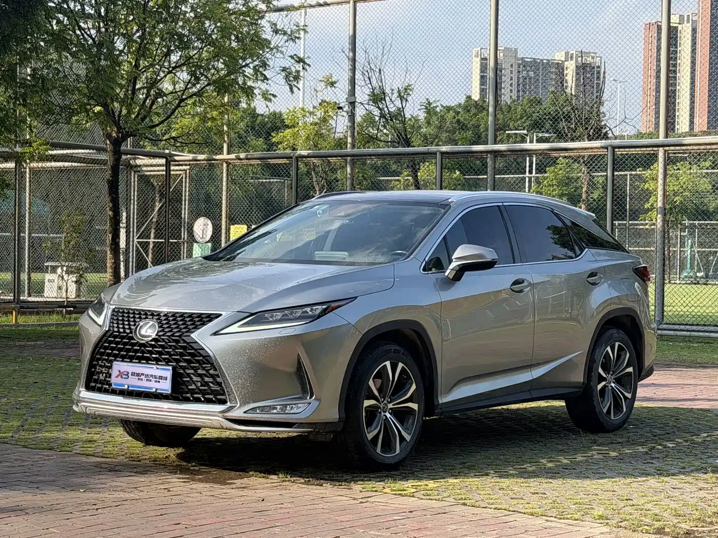 Lexus RX 2020 300 4WD Elegance Edition China VI