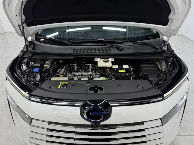 GAC Trumpchi Trumpchi E8 2025 2024 Glory Series 2.0L Glory Edition