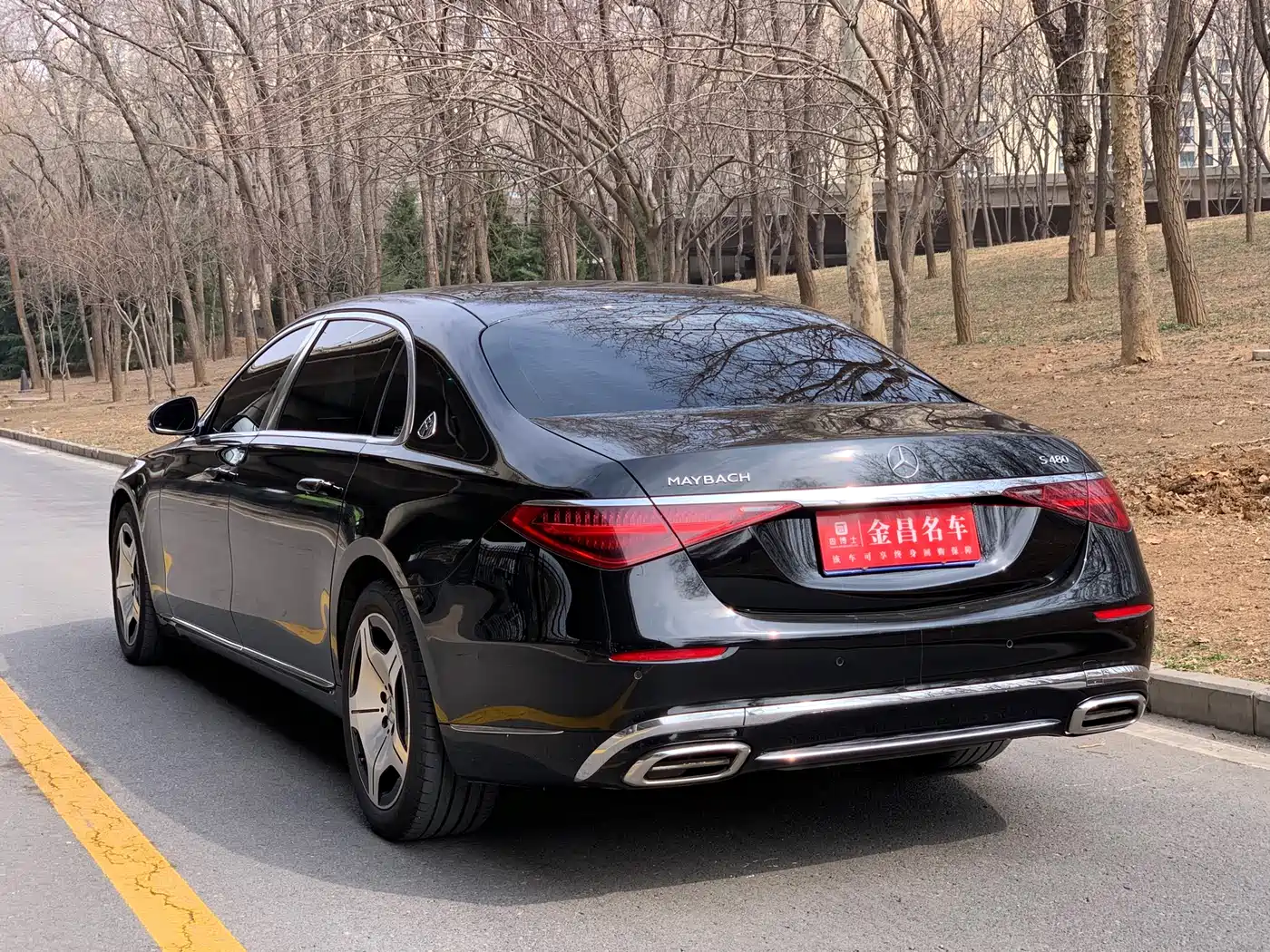 MERCEDES-BENZ MAYBACH S CLASS