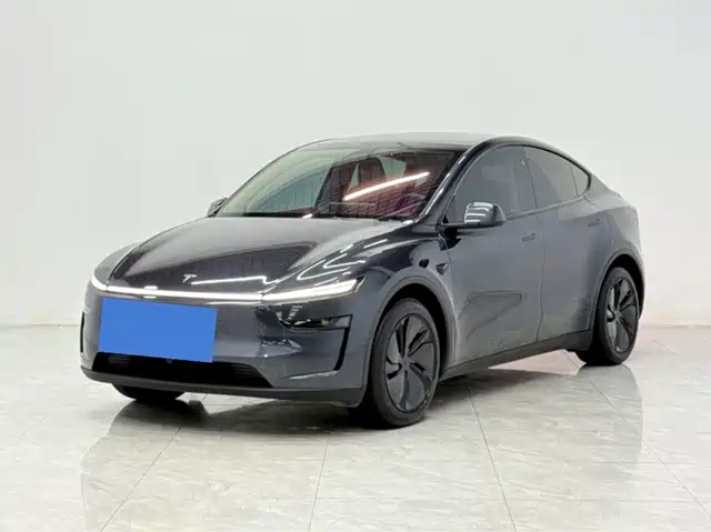 Tesla Model Y Задний привод, Премьерная