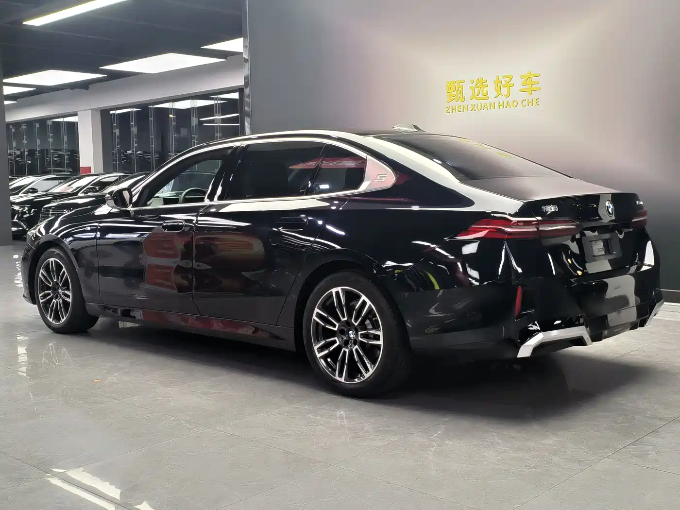 BMW 5 Series 2024 530Li Leading M Sport Package фото 14