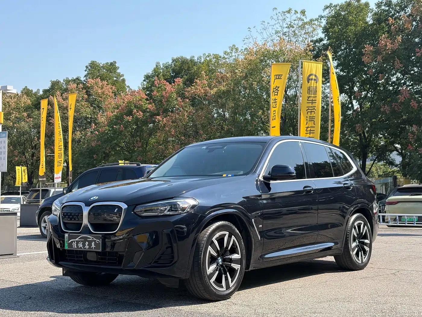 BMW iX3 2024 2023 Leading Type