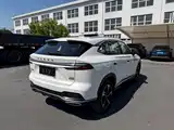 Фото 9 - Roewe RX5