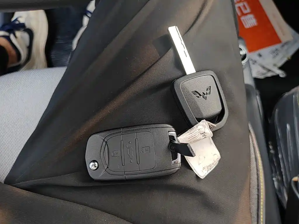 Wuling Motors Wuling Zhiguang NEV 2026 2025 Model 305km Base Version