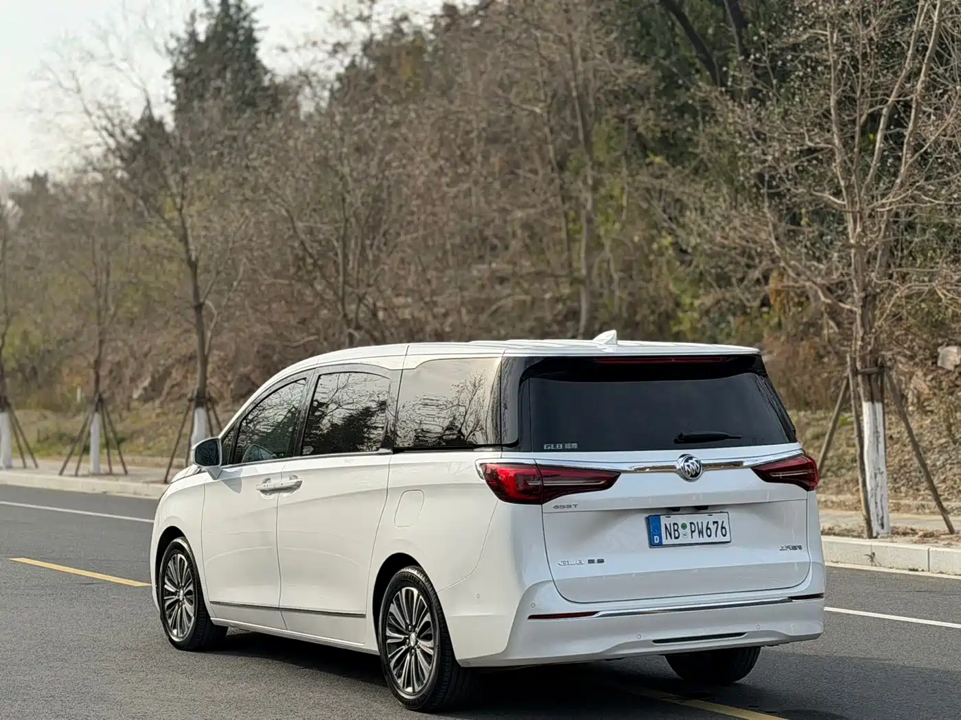 Buick GL8 2021 ES Landlord 653T Smart Flagship фото 12