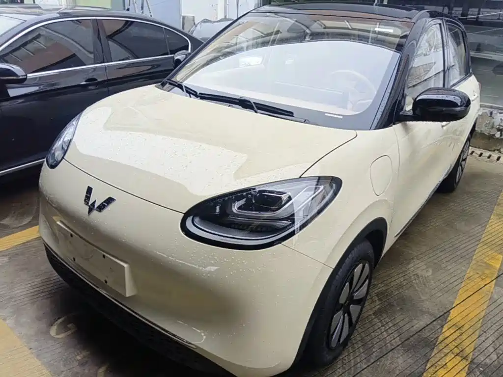 Wuling Motors Wuling Bingo 2026 2025 Model 333km Joy Edition