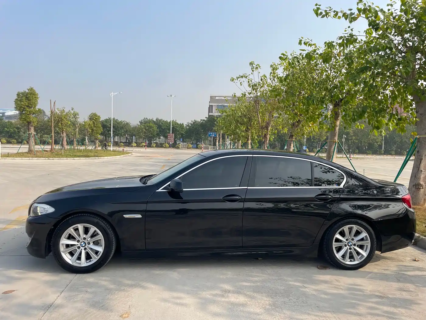 BMW 5 Series 2013 525Li Luxury фото 5