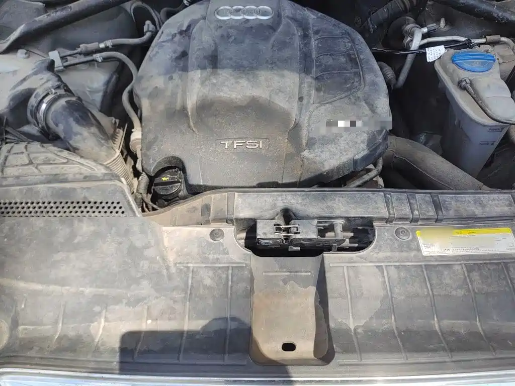 Фото 21 - Audi Q5