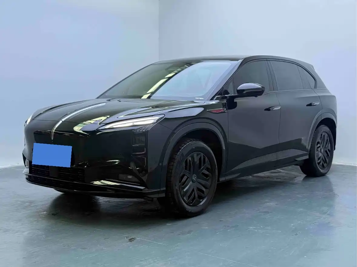2025 Hongqi Tian Gong 08