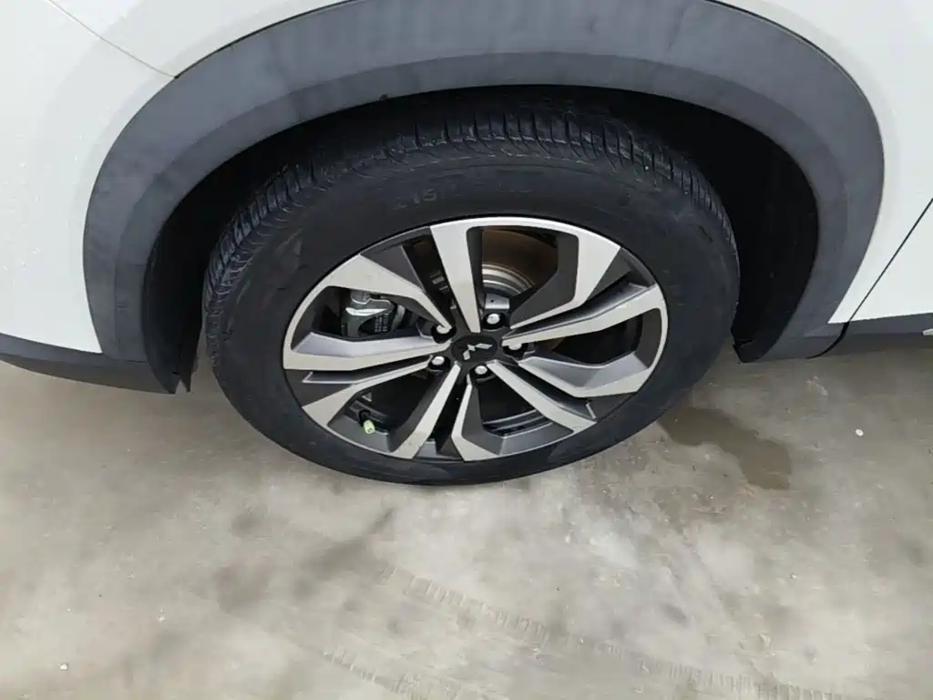 Wuling Motors Wuling Xingchen 2024 2022 2.0L DHT Electric Speed Edition