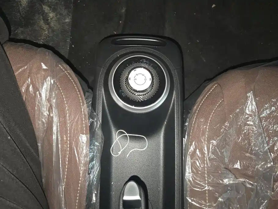 Wuling Motors Wuling Bingo 2026 2025 Model 203km Light Enjoyment