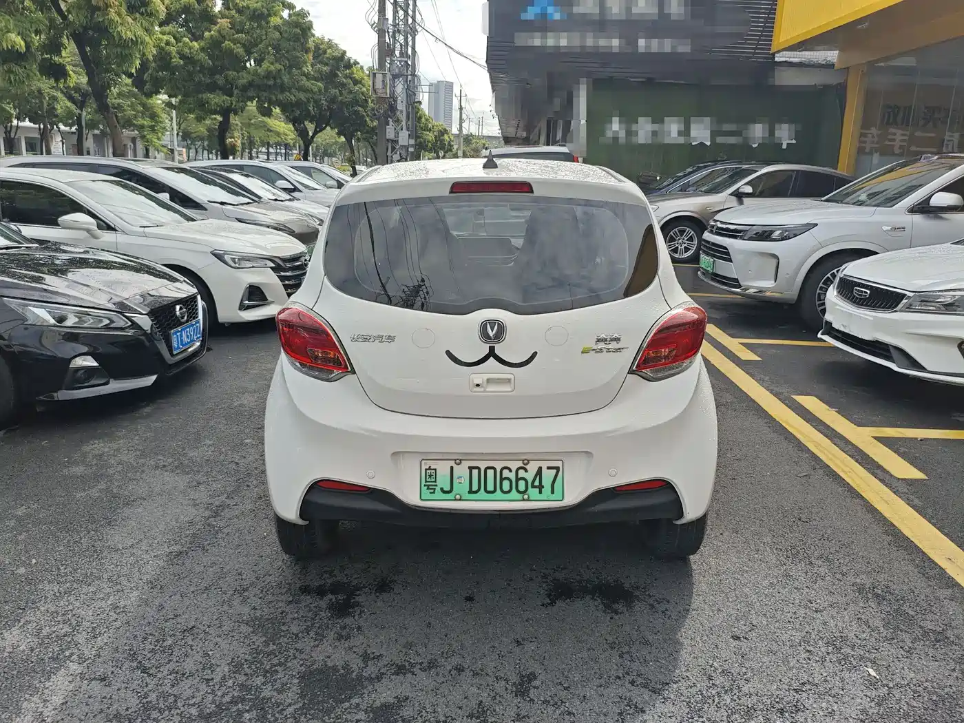 Changan Benben E-Star 2021 2020 Heartjoy Edition NCM