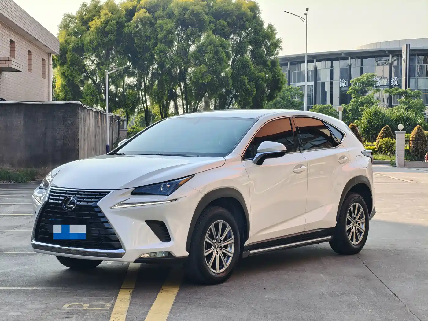 Lexus NX 2023 2020 200 FWD Fengyi Edition China VI