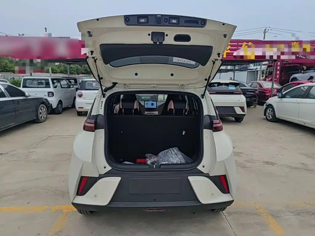 BYD Seagull 2026 2025 Smart Drive Edition 305km Vitality Version
