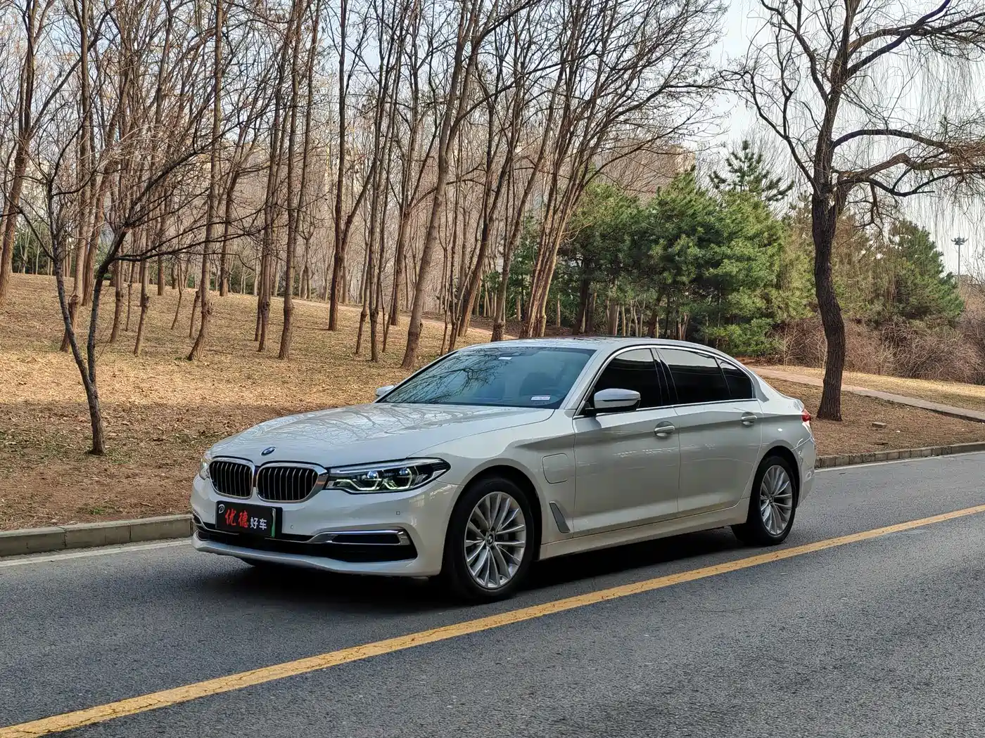 BMW 5 SERIES NEW ENERGY