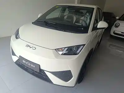 BYD Seagull