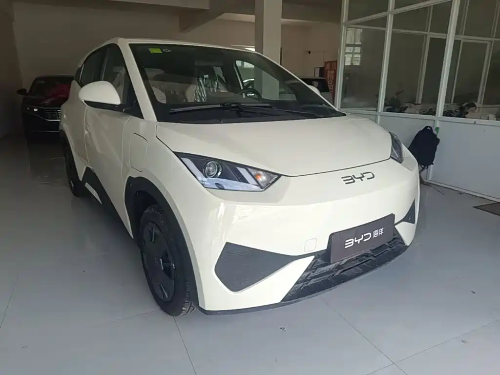BYD Seagull 2026 2025 305km Vitality