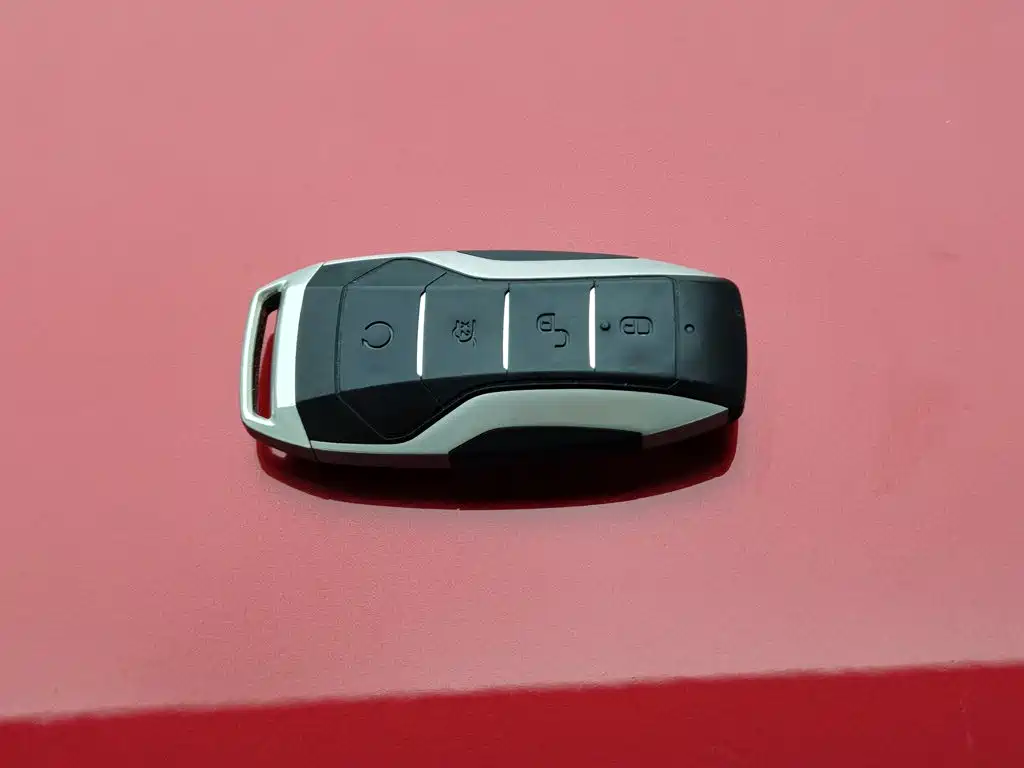 Фото 19 - BYD Tang New Energy