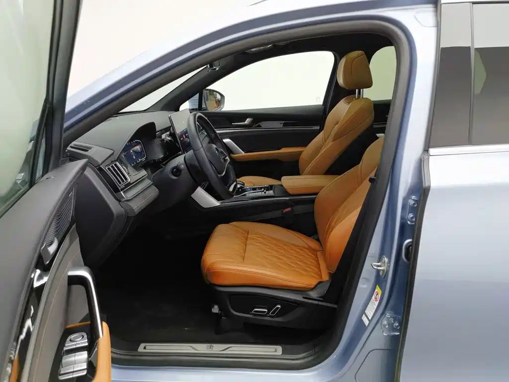 Photo 10 - BYD Tang New Energy