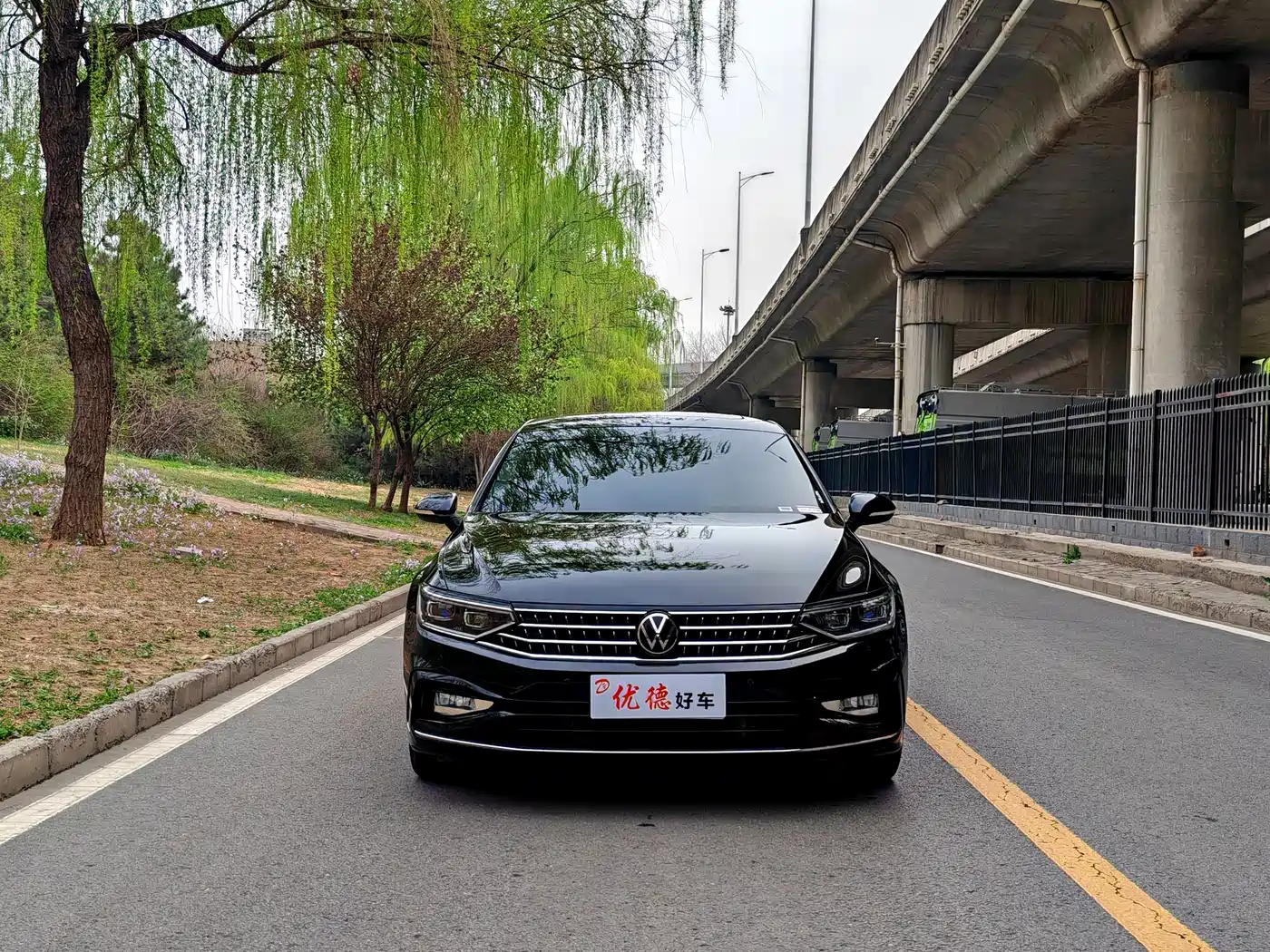 Volkswagen Magotan 2025 Facelift Public Edition 330TSI DSG Luxury фото 2