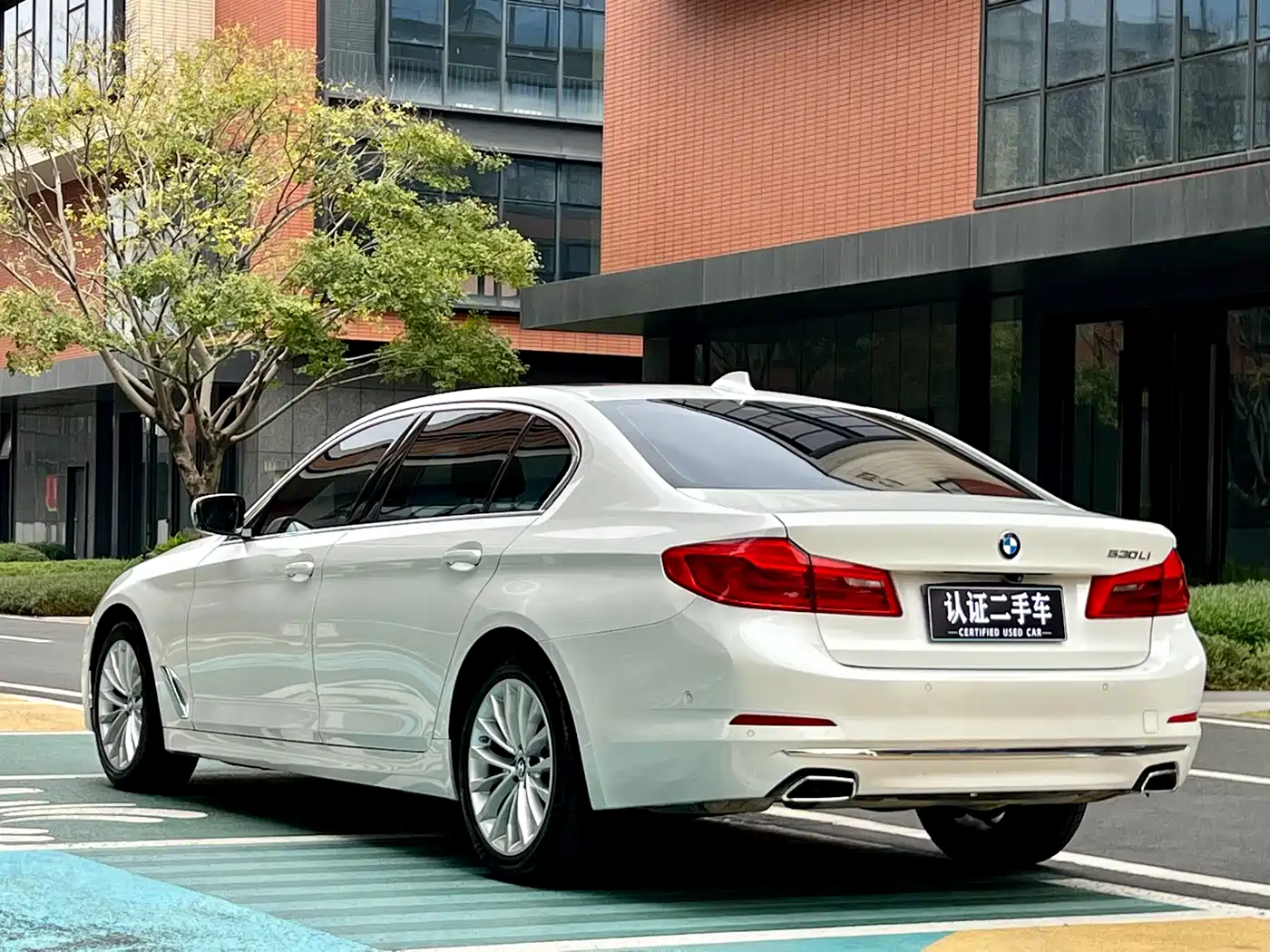 BMW 5 Series 2019 530Li Leading Luxury Package фото 4