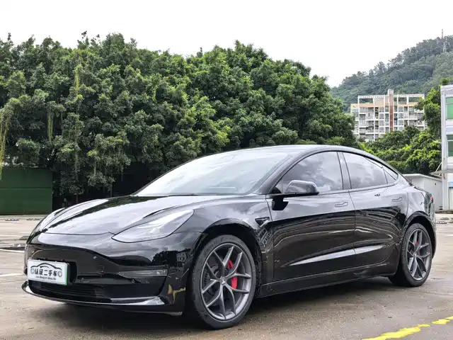 Tesla Model 3 2022