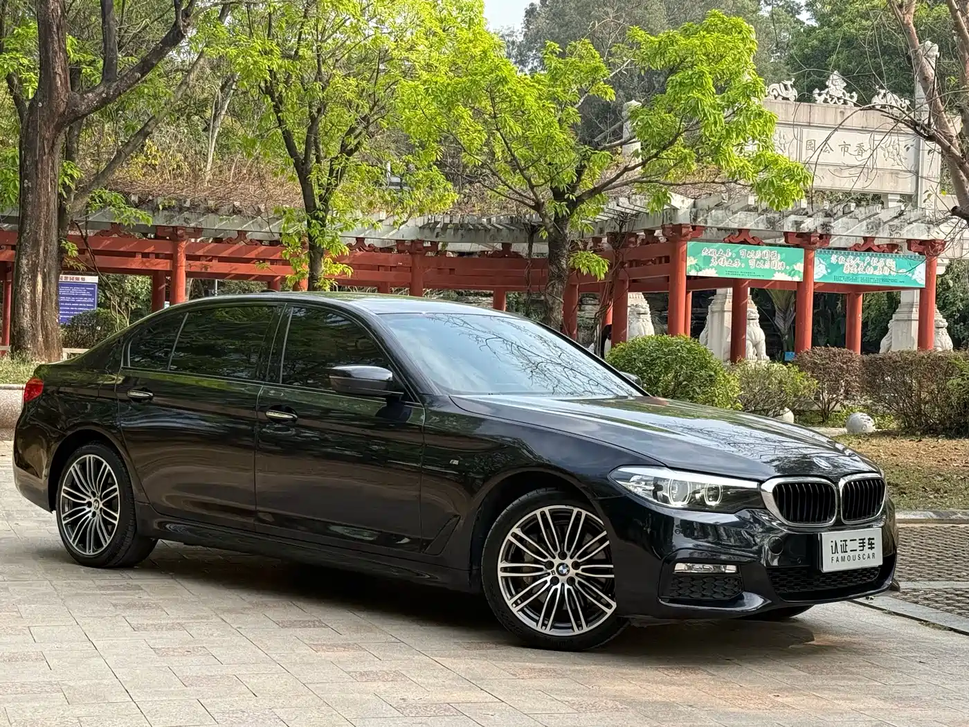 BMW 5 Series 2018 530Li Leading M Sport Package фото 3