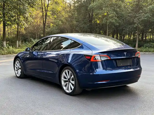 Tesla Model 3 2019 Standard Range Rear-Wheel Drive Upgrade — фото 4