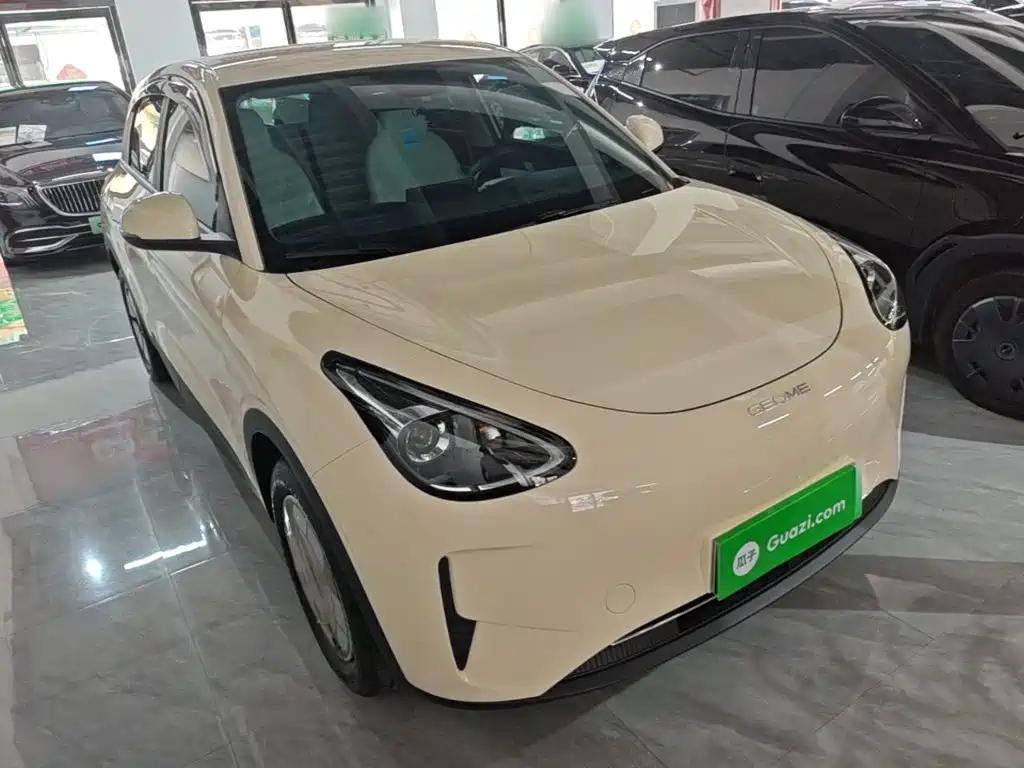 Geely Galaxy Starry Wish 2026 2026 Edition 310km Youth Version