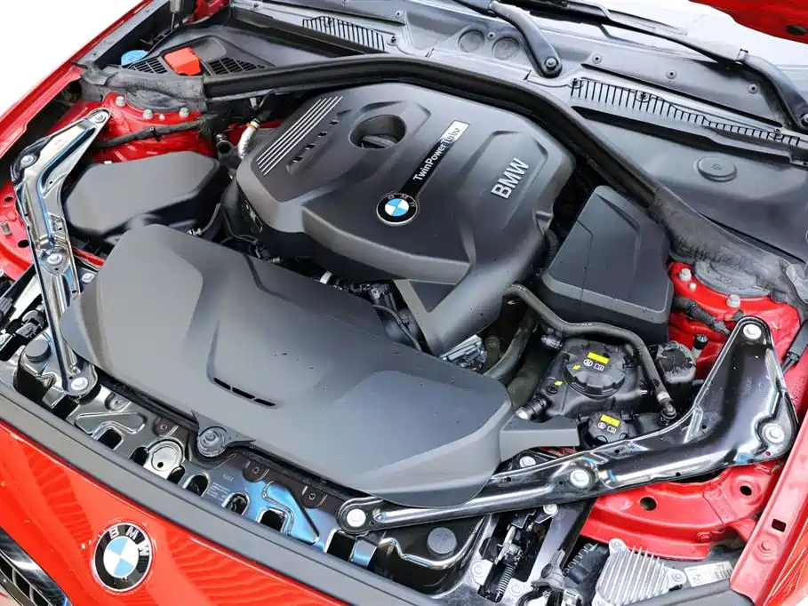 BMW 2 Series (Import) 2019 225i Convertible Coupe Sport Design Package фото 27
